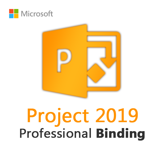 Project 2019 Professional Binding License Key